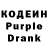Codein Purple Drank LO PERRO