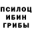 Галлюциногенные грибы Psilocybe SneGo Vyk
