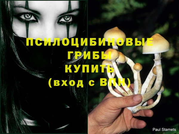 таблы Россошь