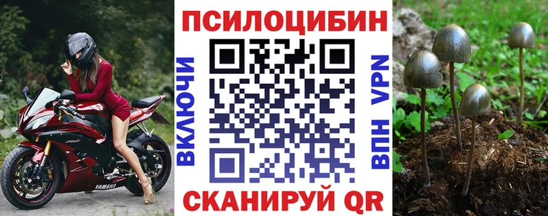 Псилоцибиновые грибы ЛСД  купить наркотики цена  Солигалич 